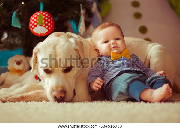 Petit Bebe Garcon Avec Chien Couche Photo De Stock Modifiable