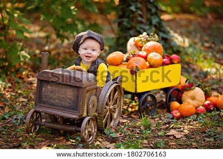 little baby boy in a tractor with a cart with pumpkins, viburnum, rowan, apples. Autumn harvest