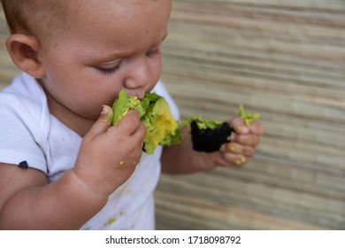 Little Baby Eats Avocado By Itself