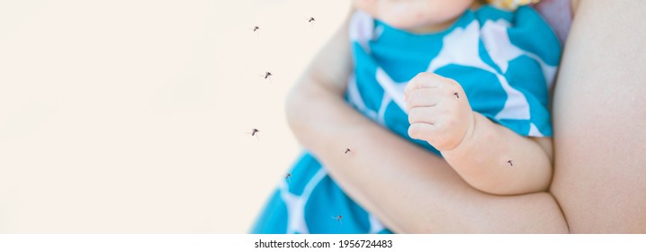 Little baby infant girl with mosquitoes bite.Mosquito is dangerous killer and sucking blood on child skin.Encephalitis, Yellow Fever, Malaria Disease or Zika Virus Infected.Malaria day.dengue fever.