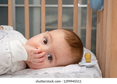 Little Baby Laying On Cot Sucking Finger In Mouth. Portrait Horizontal Image