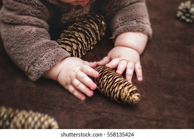 
Little Baby Play Pen Cones

Little Baby Play Pen Cones