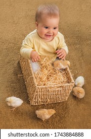 Little Baby Sits In A Square Wicker Basket With Little Chickens