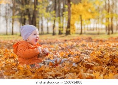 Little Baby In Sunny Autumn Park