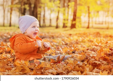 Little Baby In Sunny Autumn Park