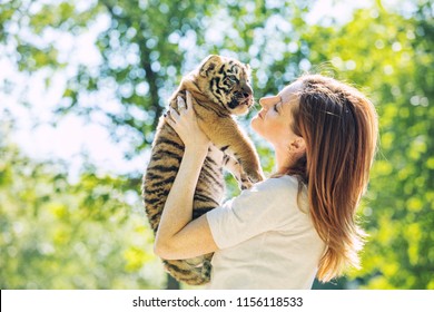 Little Baby Tiger Cub With A Woman Who Takes Care Of And Hugs Him In Her Arms In The Wild