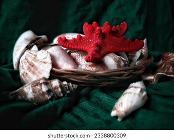 A little basket full with shells - Powered by Shutterstock
