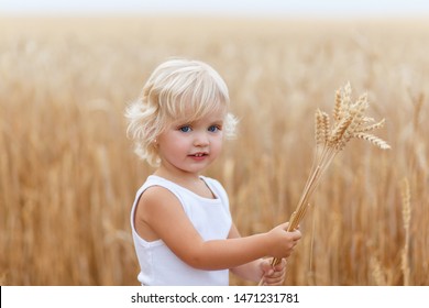 Little beautiful smiling girl on a gold wheat field. Girls in the grain-field. Cute little girl in the summer field of wheat. A child with a bouquet of wheat in his hands
