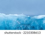 Little bird perching on blue iceberg in glacier lagoon at Jokulsarlon, Iceland