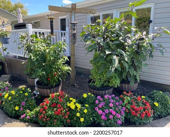 A Little Bird Sanctuary In A Backyard Garden Of A Home. There Are Different Bird Feeders, Colorful Dahlias, And A Vegetable Garden.