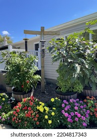 A Little Bird Sanctuary In A Backyard Garden Of A Home. There Are Different Bird Feeders, Colorful Dahlias, And A Vegetable Garden.