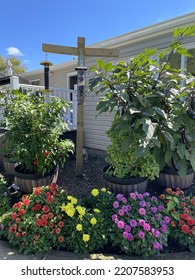 A Little Bird Sanctuary In A Backyard Garden Of A Home. There Are Different Bird Feeders, Colorful Dahlias, And A Vegetable Garden.