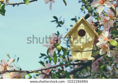 Little birdhouse in spring over blossom cherry tree