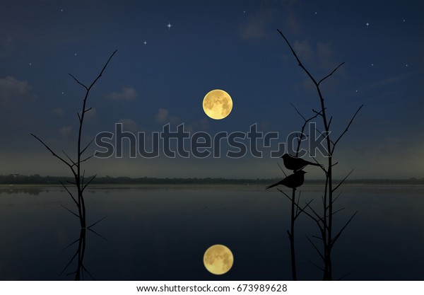 Little birds on\
the branches in full moon\
night