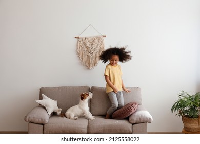 Little Black Girl Playing With Her Friend, The Adorable Wire Haired Jack Russel Terrier Puppy At Home. Preschooler Jumping On The Couch With Rough Coated Pup. Interior Background, Close Up, Copy Space