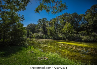 Little Blanco River In Texas