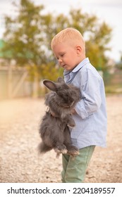 A Little Blond Boy On A Farm With A Pet Rabbit. Rabbit Park.