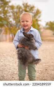 A Little Blond Boy On A Farm With A Pet Rabbit. Rabbit Park.