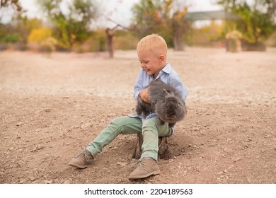 A Little Blond Boy On A Farm With A Pet Rabbit. Rabbit Park.