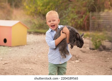 A Little Blond Boy On A Farm With A Pet Rabbit. Rabbit Park.