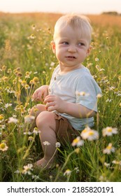 A Little Blond Boy Is Sitting In The Grass In A Chamomile Field. The Concept Of Walking In Nature, Freedom And An Environmentally Friendly Lifestyle.