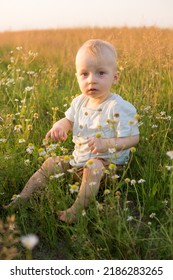 A Little Blond Boy Is Sitting In The Grass In A Chamomile Field. The Concept Of Walking In Nature, Freedom And An Environmentally Friendly Lifestyle.