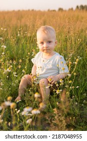 A Little Blond Boy Is Sitting In The Grass In A Chamomile Field. The Concept Of Walking In Nature, Freedom And An Environmentally Friendly Lifestyle.