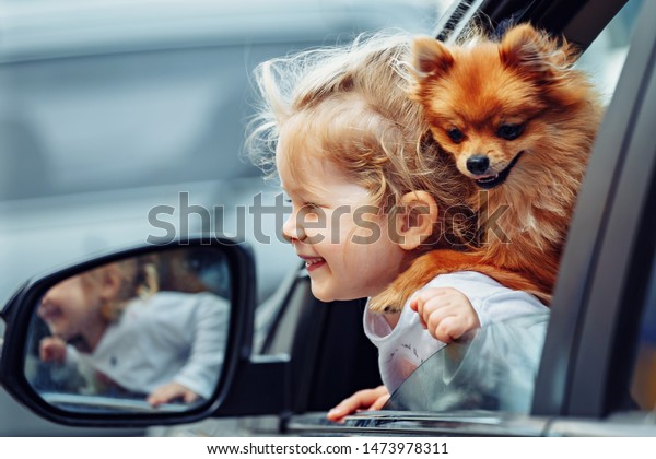 Little blond girl hugging pomeranian spitz dog at\
car.Young pretty girl with cute fluffy dog sitting in car looking\
trough the window