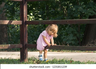 Little blond girl in pink dress climbing over the wooden fence in summer day on the forest background. Vocation in the village. Baby one year old walking in the forest. Soft focus. - Powered by Shutterstock