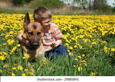 Little Blonde Boy Playing With His Large Alsatian Dog On The Wild Meadow All In Yellow Dandelions During Sunny Day.