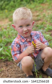 Little Blonde Caucasian Boy In Sunflower Field In The Summer Dressed In A Button Down Shirt