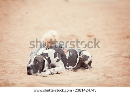 Little blonde girl with great dane on the sand beach in summer 