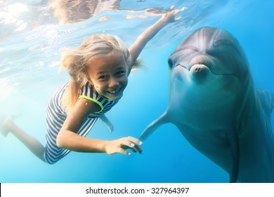 A little blonde seven year old girl diving with funny dolphins underwater. An ocean life sports extreme design. Kid with marine animal. Red sea diving in blue water.