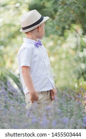 A little boy of 5 years old walks in a flowered park. Lavender. Spring.