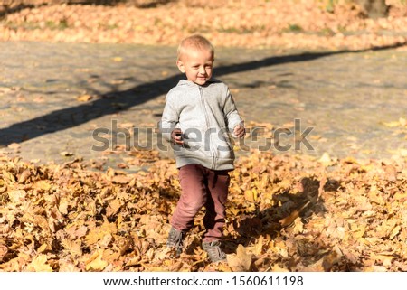 Similar – Image, Stock Photo Cute baby seeing falling leaves