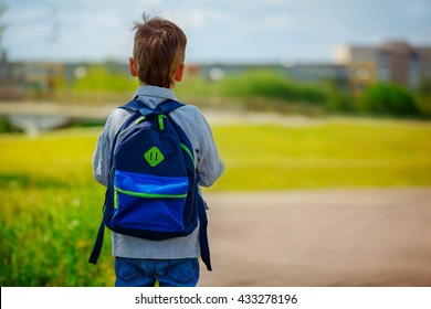 Little Boy With A Backpack Go To School. Back View.