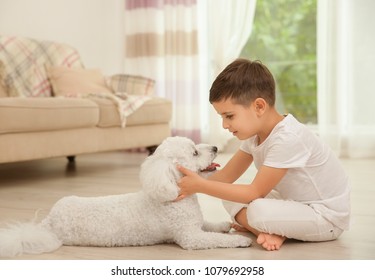 Little Boy And Bichon Frise Dog At Home