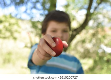 Little boy breaking Easter eggs. Happy child with Easter eggs. Little boy and red egg. Excited boy knocking Easter eggs