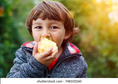 Little boy child kid eating apple fruit outdoor autumn fall nature healthy outdoors