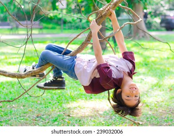 Little Boy Climb On A Tree Rope