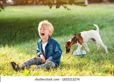 Little Boy Crying And Sitting On The Ground. Kids Tantrums During Walk. Upset Child Boy At The Summer Park. Childhood. Sad Kid Walking With Dog.