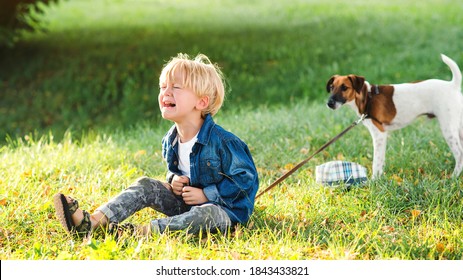 Little Boy Crying And Sitting On The Ground. Kids Tantrums During Walk. Upset Child Boy At The Summer Park. Childhood. Sad Kid Walking With Dog.