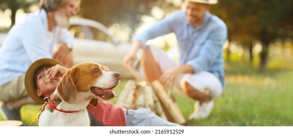 Little boy with cute dog at picnic outdoors