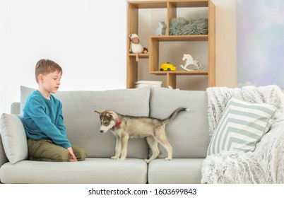 Little boy with cute husky puppy on sofa at home - Shutterstock ID 1603699843