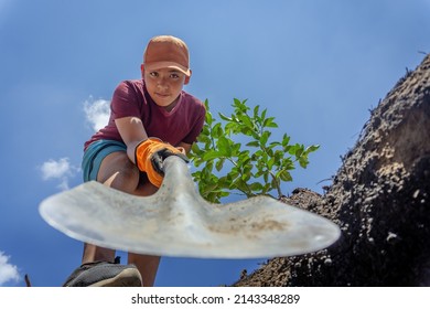 Little Boy Digging A Big Hole.