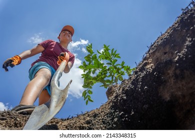 Little Boy Digging A Big Hole