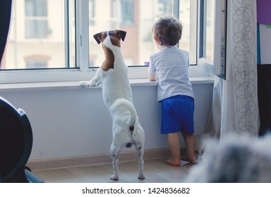 Little Boy And Dog Look Out The Window