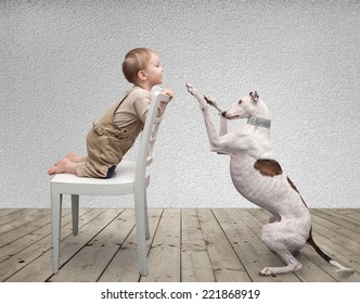 Little Boy And A Dog Playing In The Room