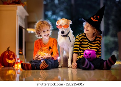 Little Boy And Dog In Witch Costume On Halloween Trick Or Treat. Kids Holding Candy In Pumpkin Lantern Bucket. Children Celebrate Halloween At Decorated Fireplace. Family Trick Or Treating.