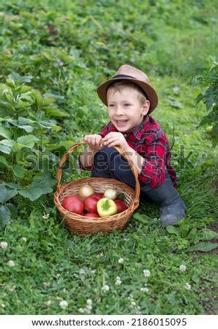 Similar – Happy kid putting apple in wicker basket with harvest